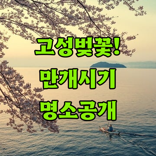 2026년 경남 고성 벚꽃 만개 시기 및 가족 소풍 명소 안내
