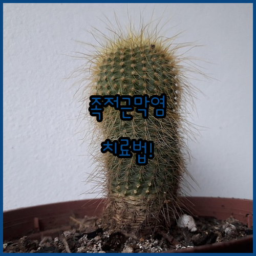 image bbb0586a