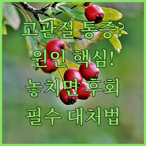 image ec6b3f97